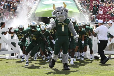 University of south florida football - Since USF’s beginning, students campaigned diligently to get a football team for USF. Pep rallies in favor of a football team were held and in 1980, a survey showed that 90% of students wanted a football program at our university. In 1997, students got their wish and the Bulls entered Division I-AA.